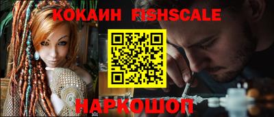 крисы Камышлов