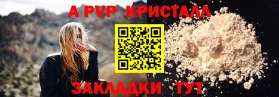 крисы Камышлов