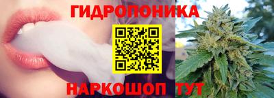 крисы Камышлов