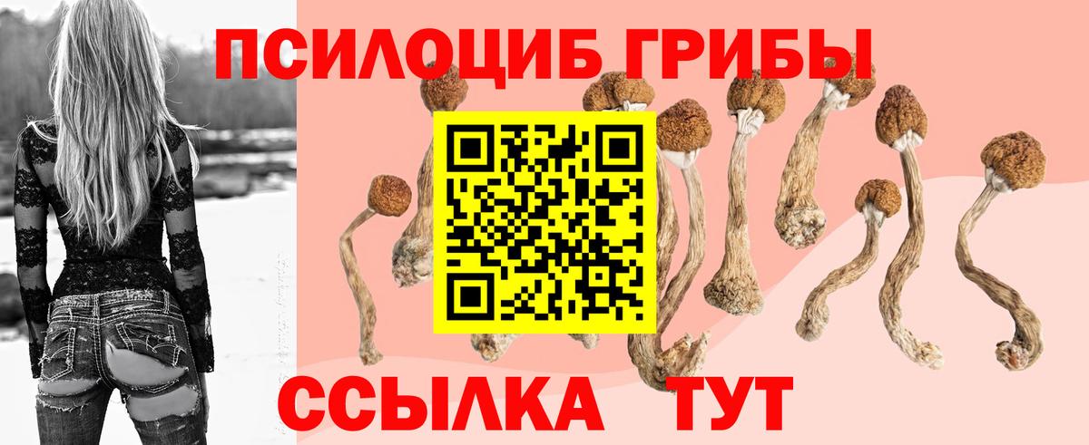 Конаково  Галлюциногенные грибы ЛСД  Галлюциногенные грибы ЛСД  Вход с VPN 